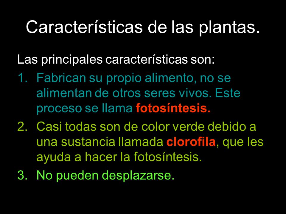 caracteristicas principales de las plantas caracteristicas principales de las plantas